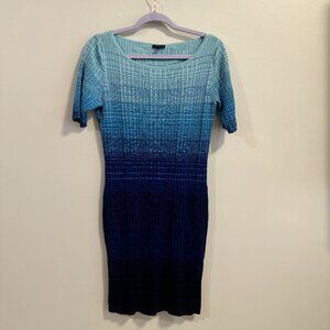 Women's Small Anne Taylor Blue Ombre Knit Sweater Dress